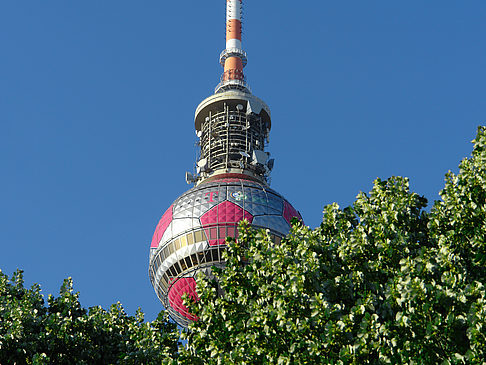 Fernsehturm und Bäume Fotos