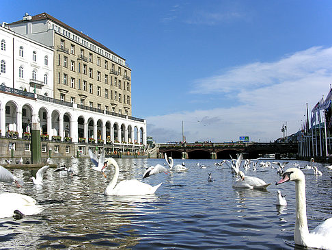 Foto Alster Arkaden - Hamburg