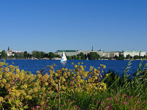 Foto Blick nach Osten von der Außenalster - Hamburg