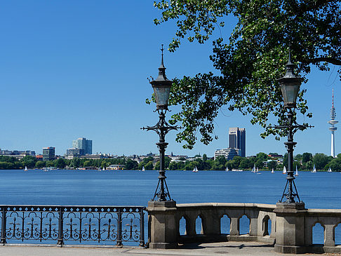 Foto Bäume und Laterne an der Binnenalster - Hamburg