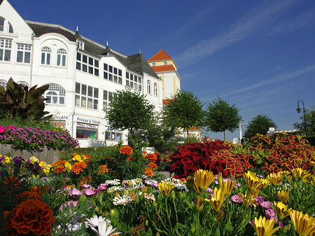 Fotos Seebrücke Binz | Ostseebad Binz