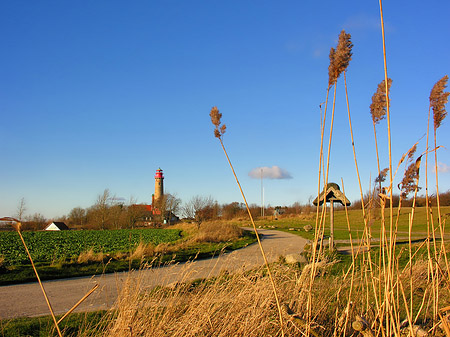 Turm aus der Ferne Foto 