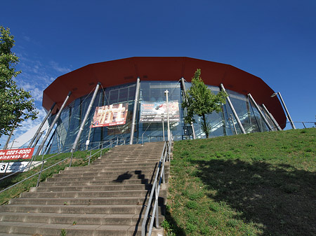 Foto Kölnarena auf der Treppe