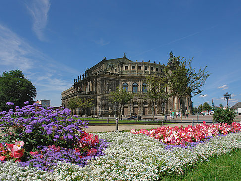 Semperoper mit Blumen Foto 