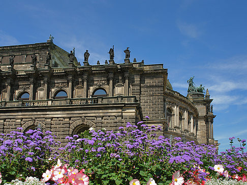 Fotos Semperoper mit Blumen | Dresden