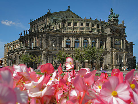 Fotos Semperoper mit Blumen | Dresden